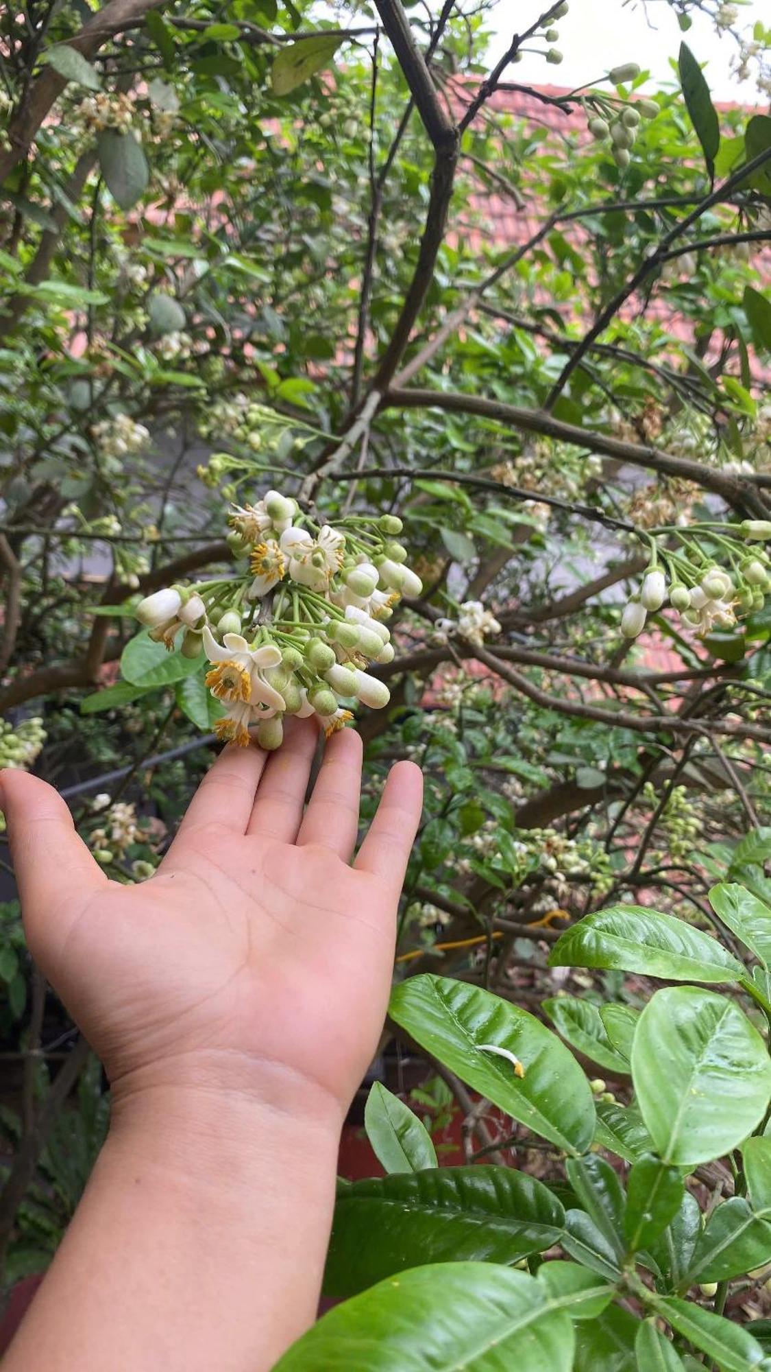 Tam Coc Happy Home 닌빈 외부 사진